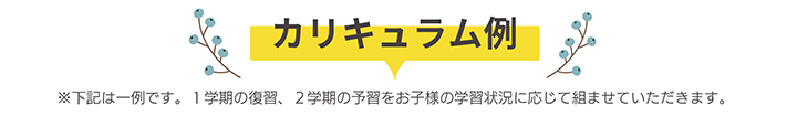 カリキュラム例