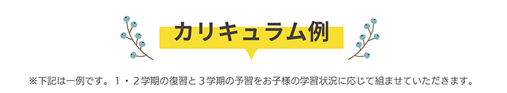 カリキュラム例
