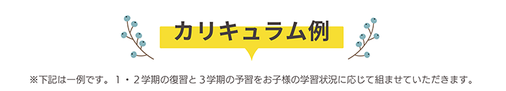 カリキュラム例
