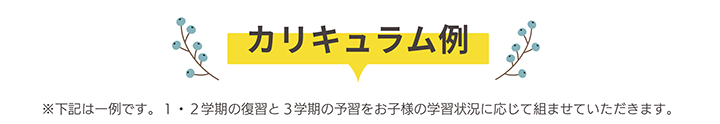 カリキュラム例